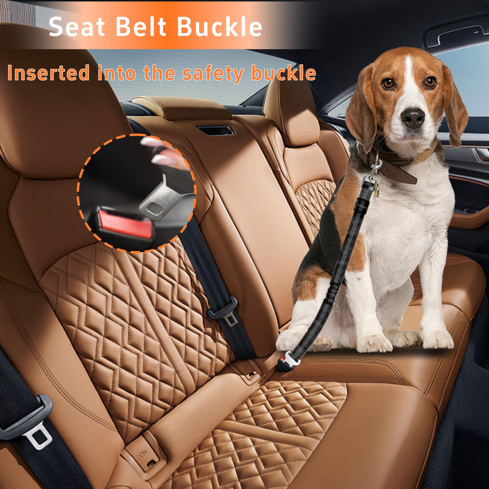 Seyezo usos múltiples; cinturón para perro en coche o como correa.