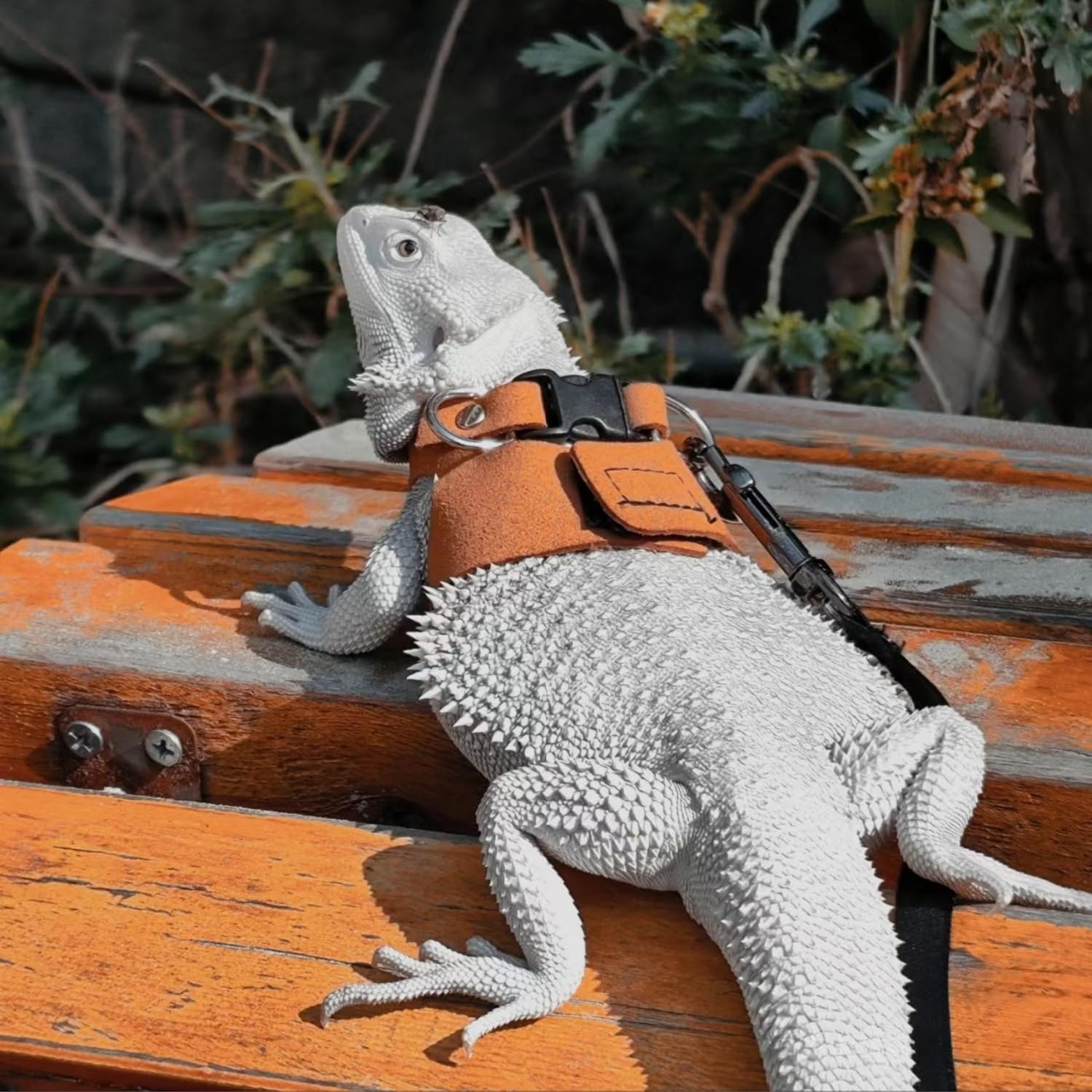 SEZDEKI accesorio dragón barbudo, correa y anclaje duraderos para pequeños animales