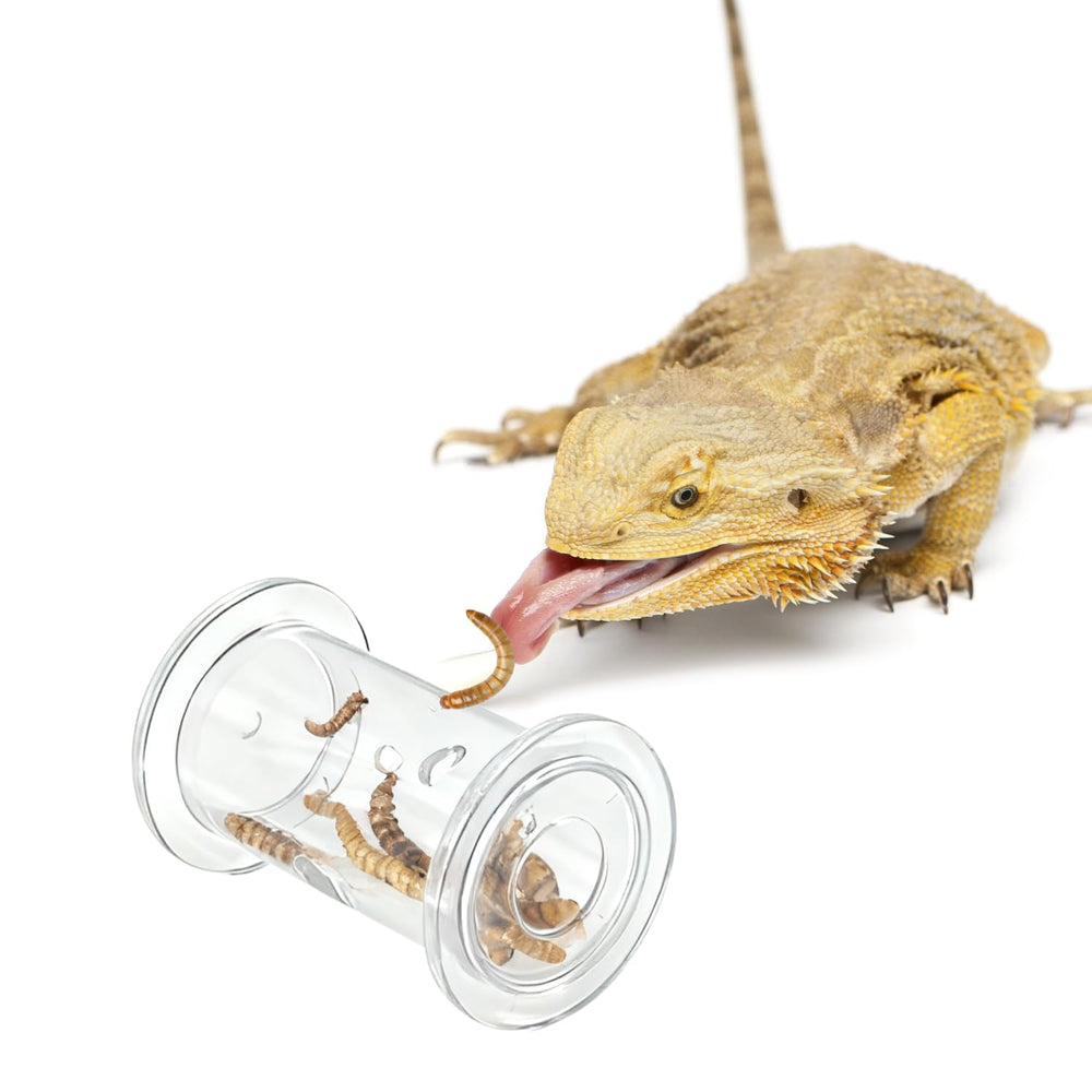 SEZDEKI Regalo para mascotas reptiles: entretenimiento seguro y educativo