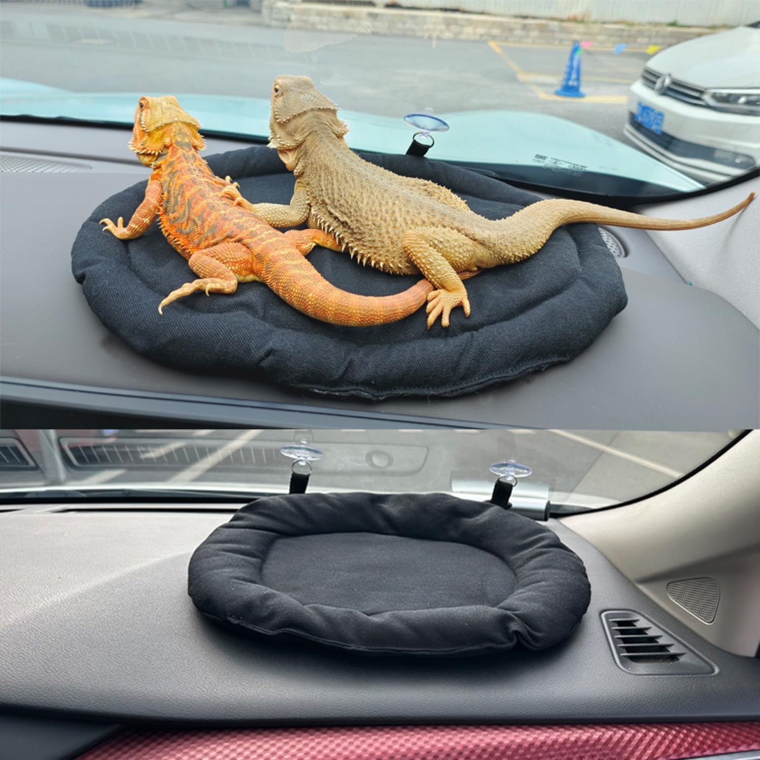 SEZDEKI uso ampliado para reptiles y pequeños animales en movimiento