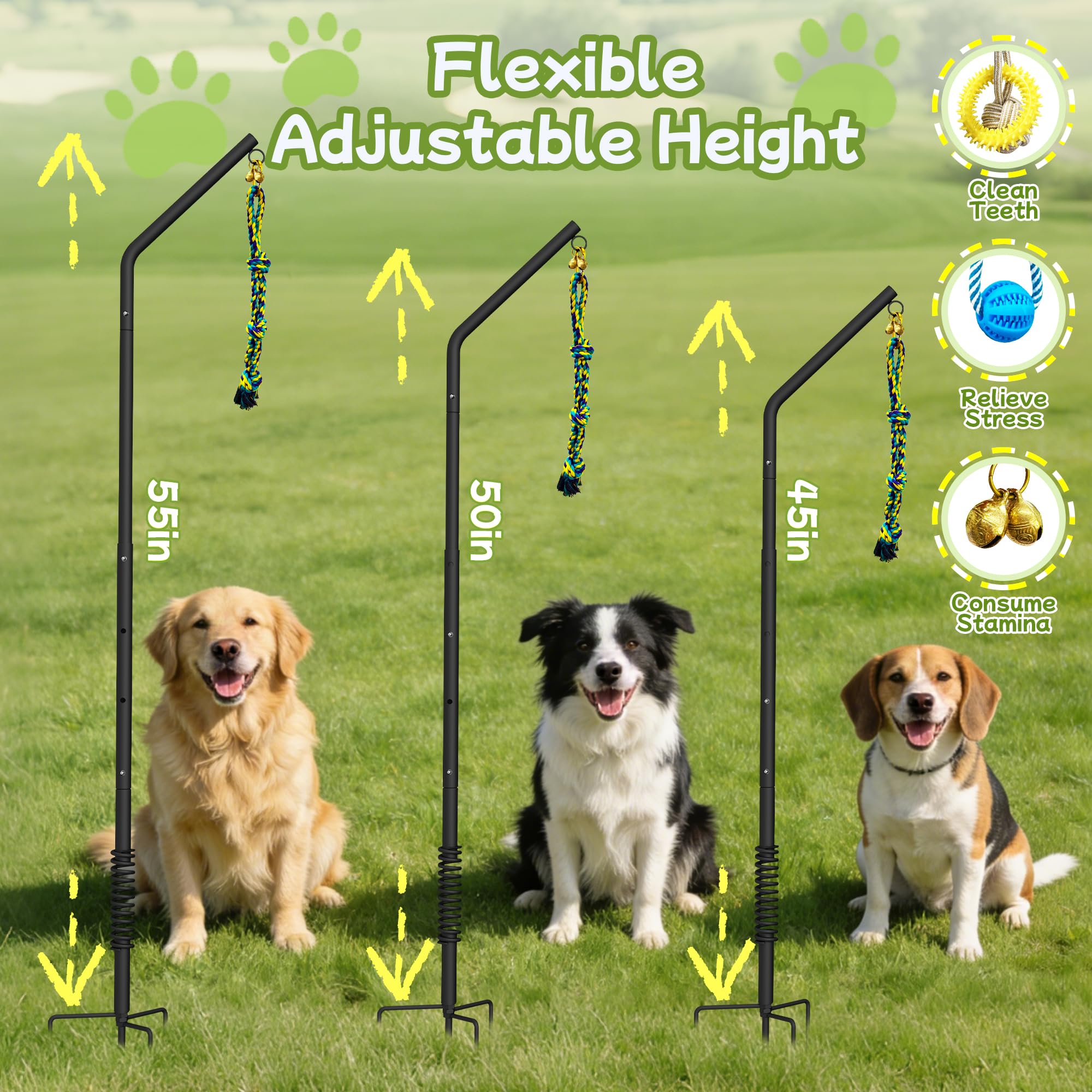 SFTPO Tether permite juego autónomo para perros cuando no estás.