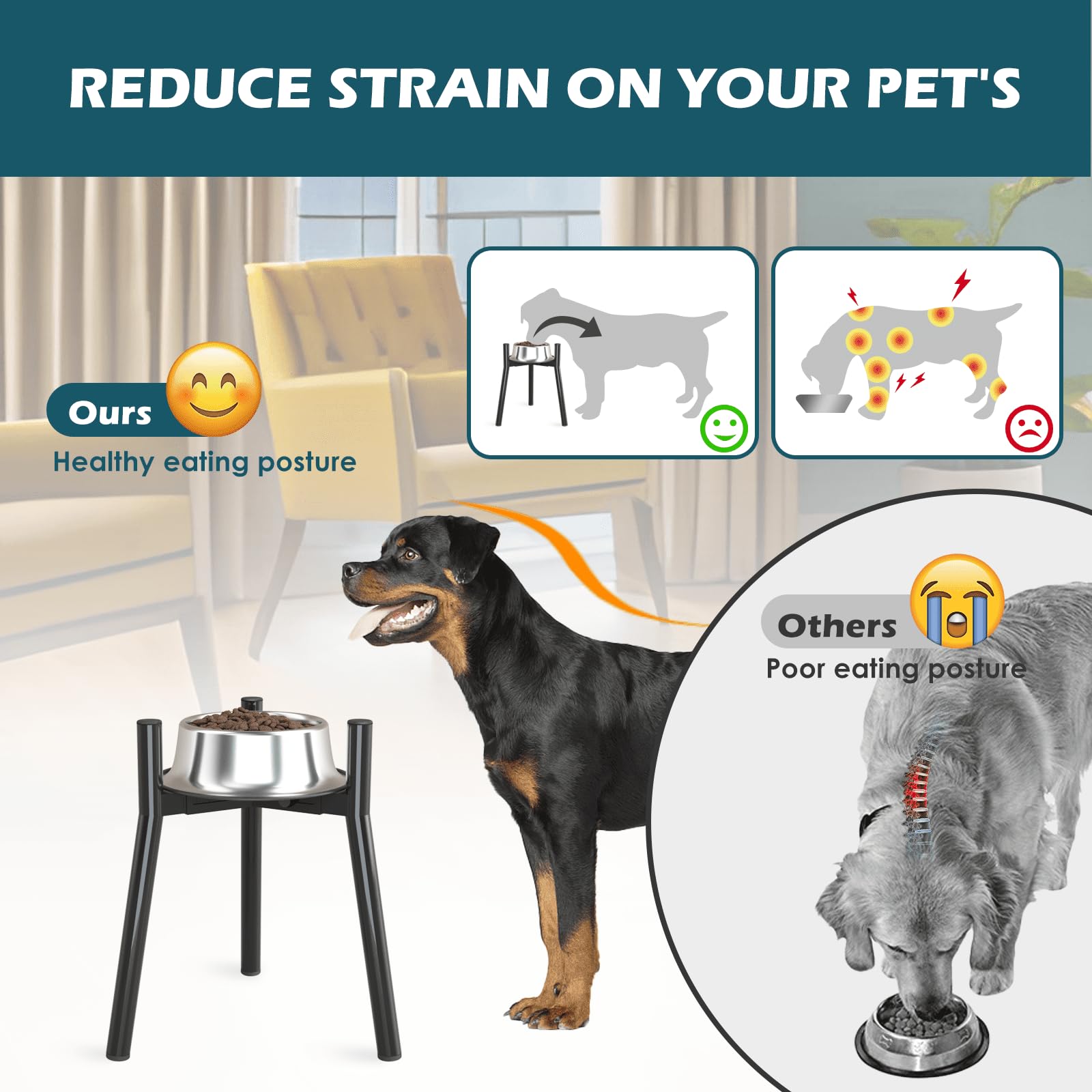 SHAINFUN base estable de tres patas, evita movimientos durante las comidas.