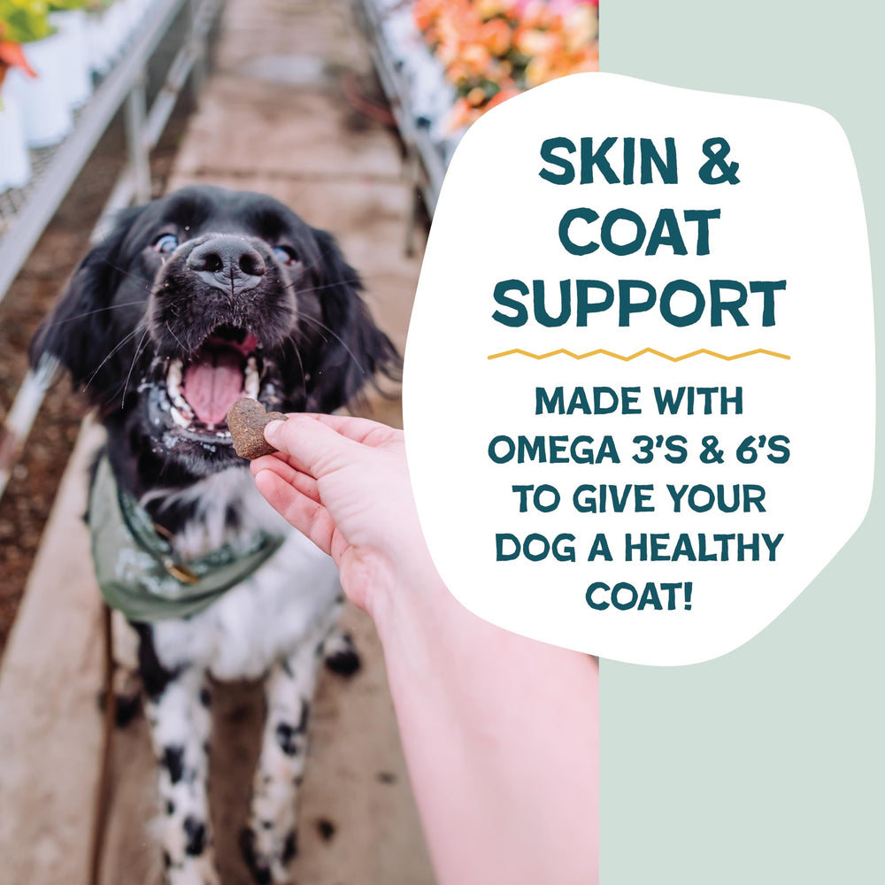 Alimentos reutilizados con cuidado, Shameless Pets reduce desperdicio