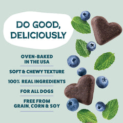 Shameless Pets con antioxidantes para inmunidad, sabor arándano y menta.