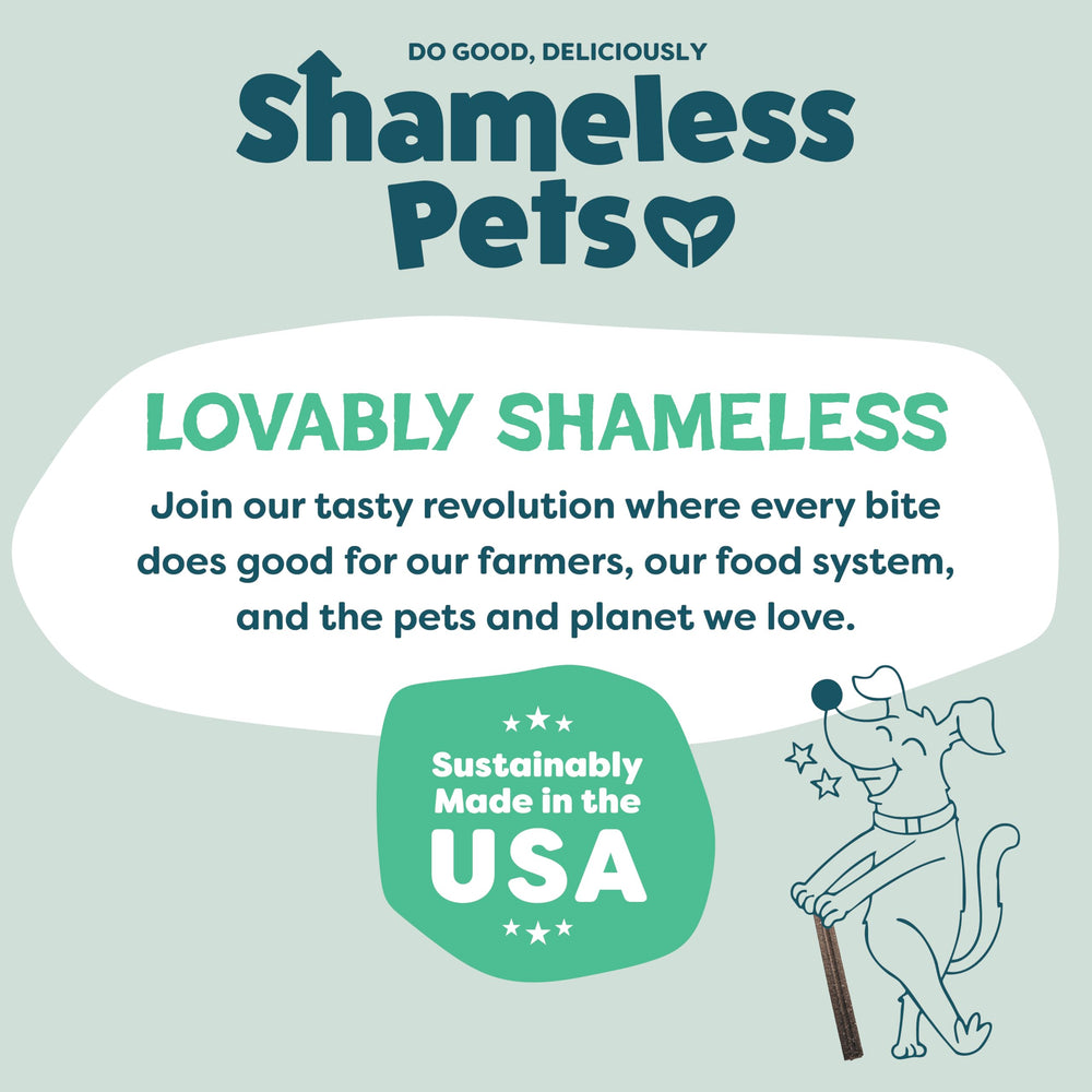 Shameless Pets Triple Mint masticables dentales facil de digerir para perros activos