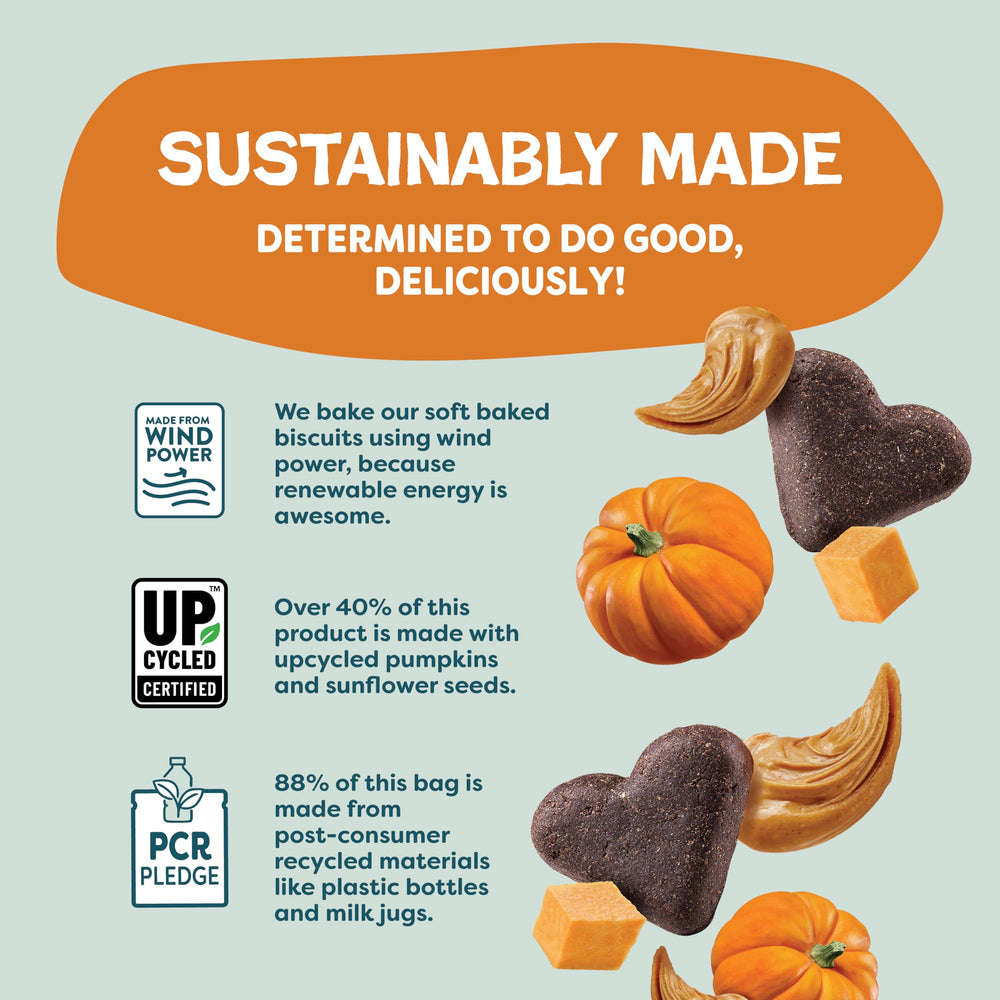 Shameless Pets Pumpkin Nut Partay, sin granos ni maíz para dieta sensible