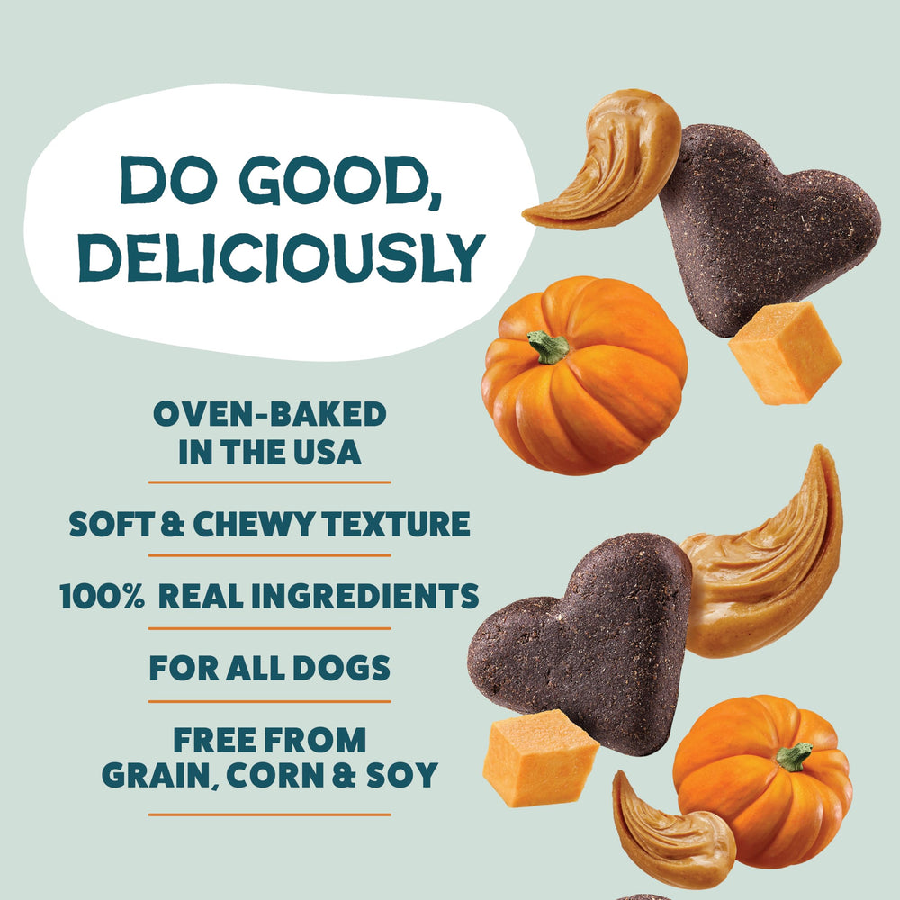 Shameless Pets Pumpkin Nut Partay, bandeja para servir como recompensa sabrosa