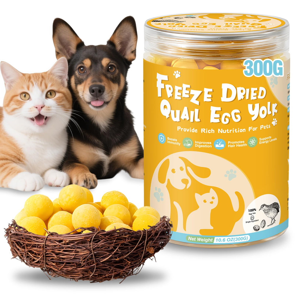 SHANDR yema de codorniz seca congelada, fuente de proteína para perros y gatos