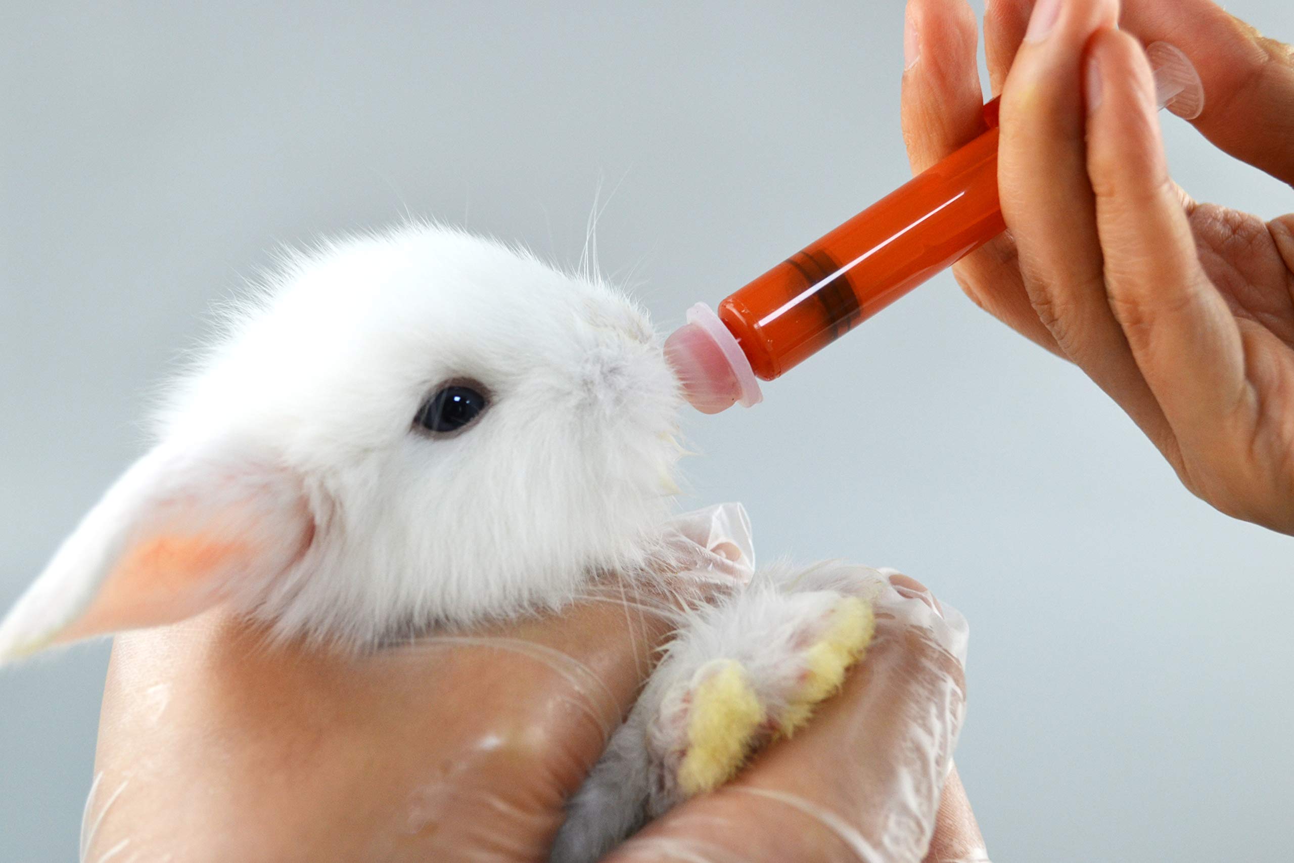 SHAOTONG biberón de 60 ml para mascotas medianas