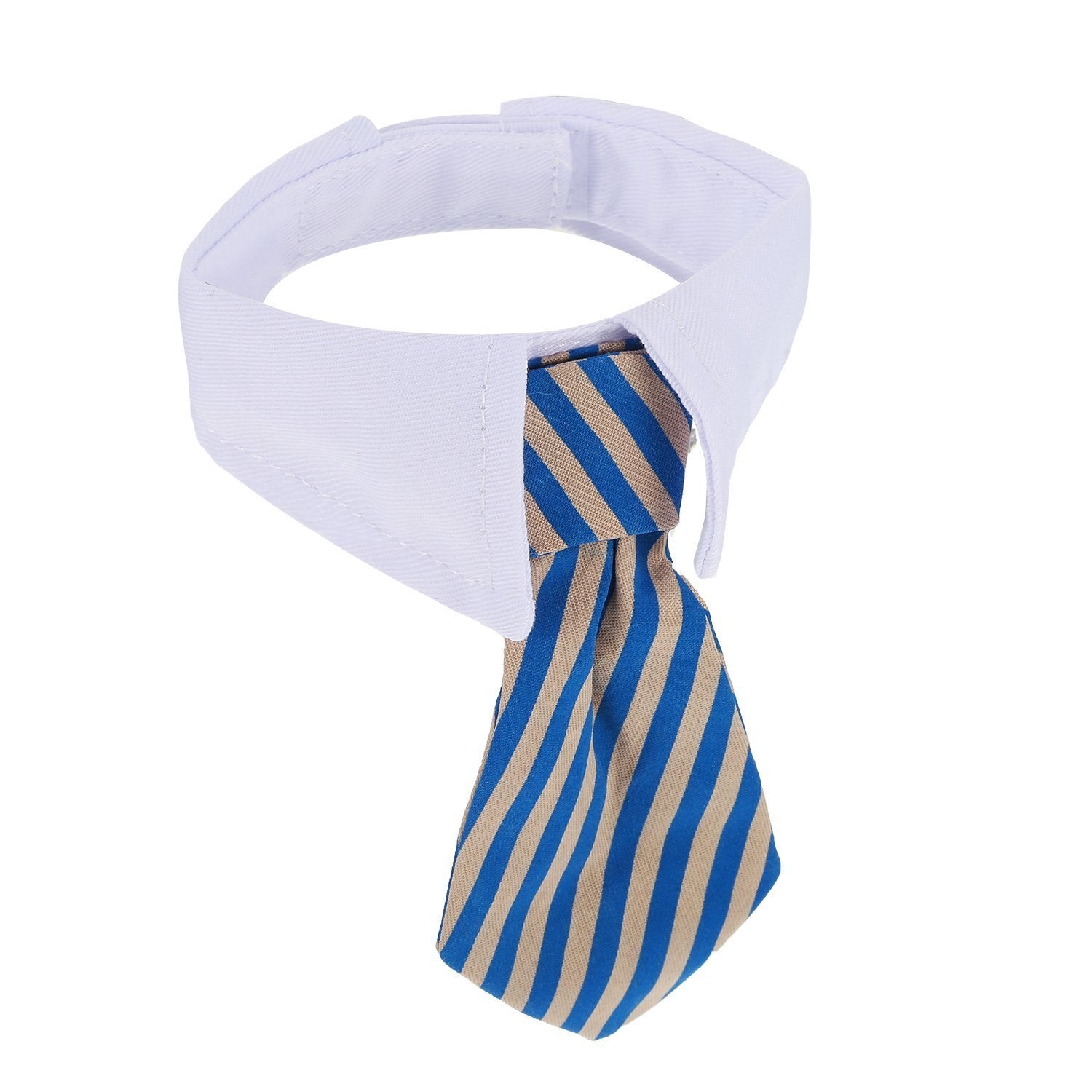 Shappy pajarita para bodas y eventos con mascotas, estilo formal