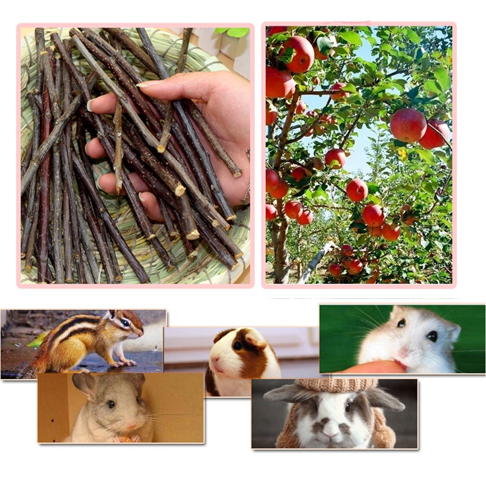 Sharllen palitos para chinchillas, sabor natural y seguro para roedores.