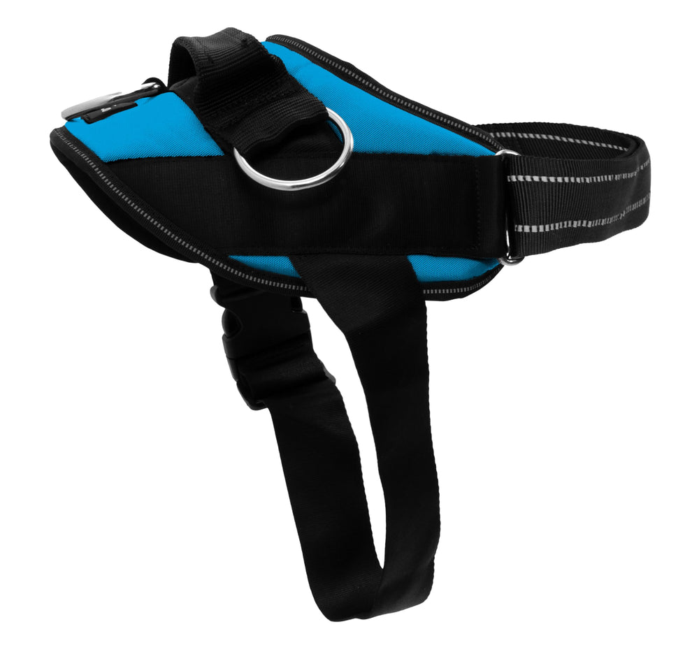 SHAWNCO Arnés Esencial Azul Océano con tres puntos de enganche para caminar cómodo