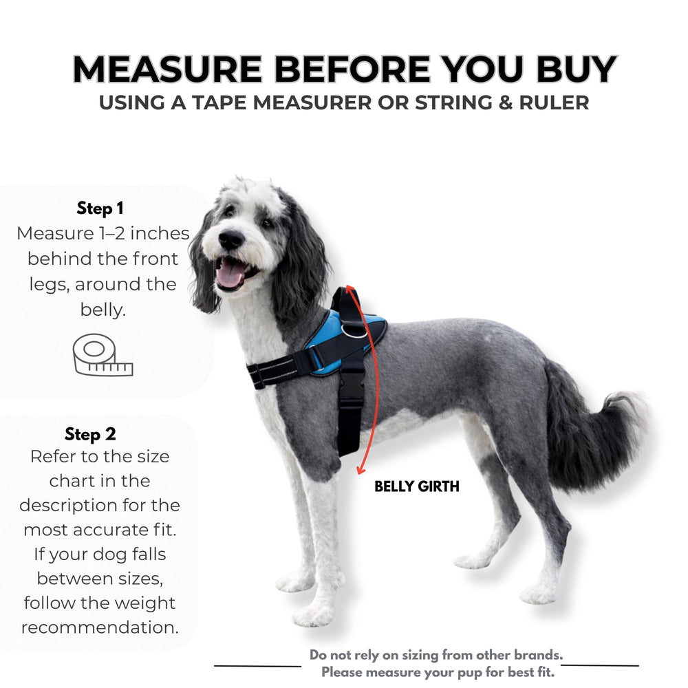 Ajuste completo en pecho y barriga para perros de todas las tallas.