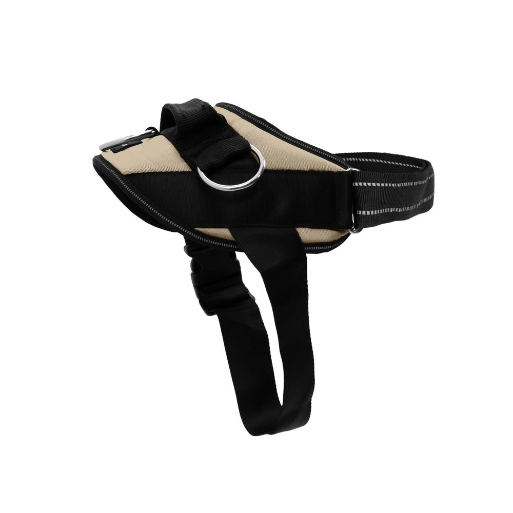 Arnés ShawnCo Essential frente al perro, cómodo y seguro para caminatas.