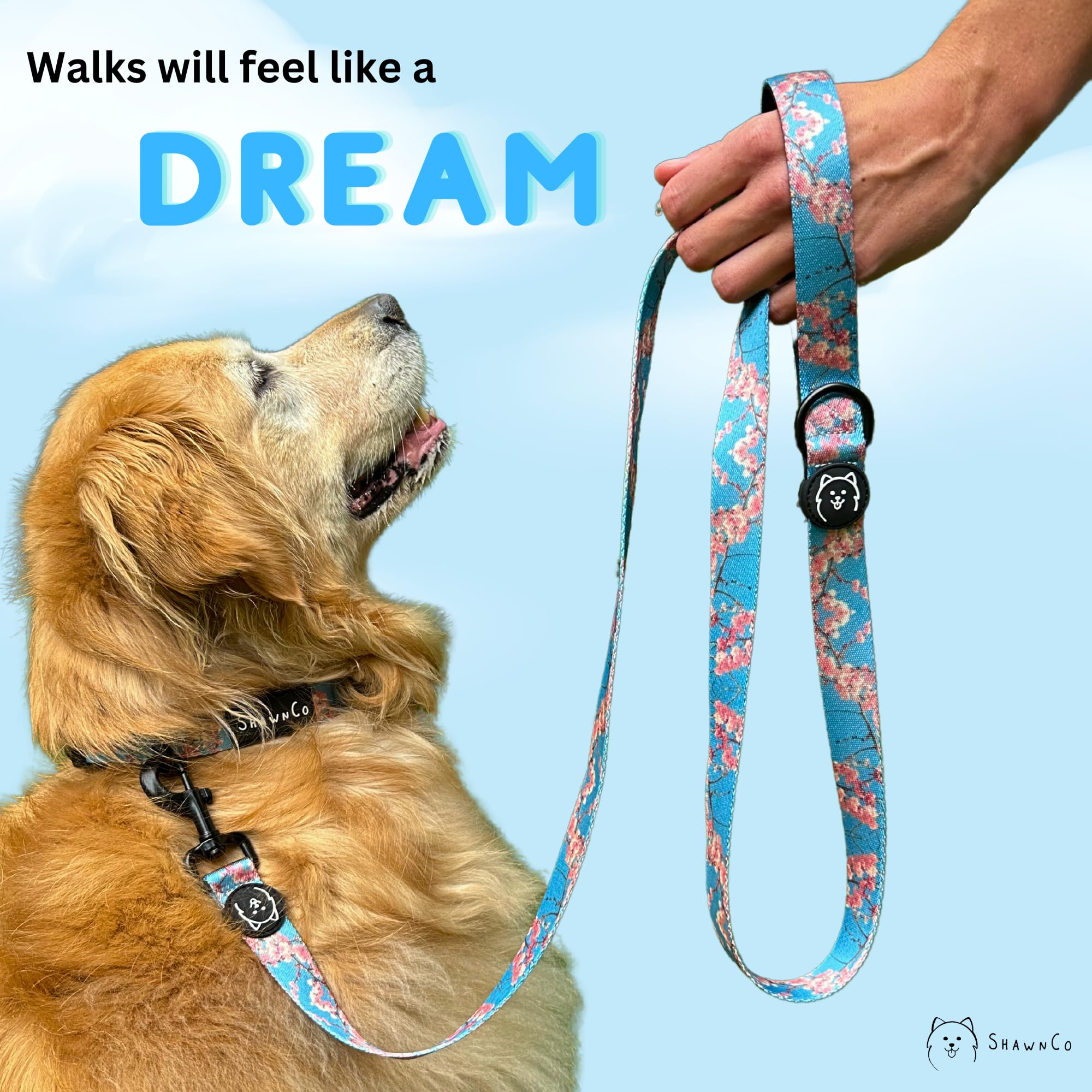 ShawnCo Dream Walk: paseos diarios con seguridad y confort.