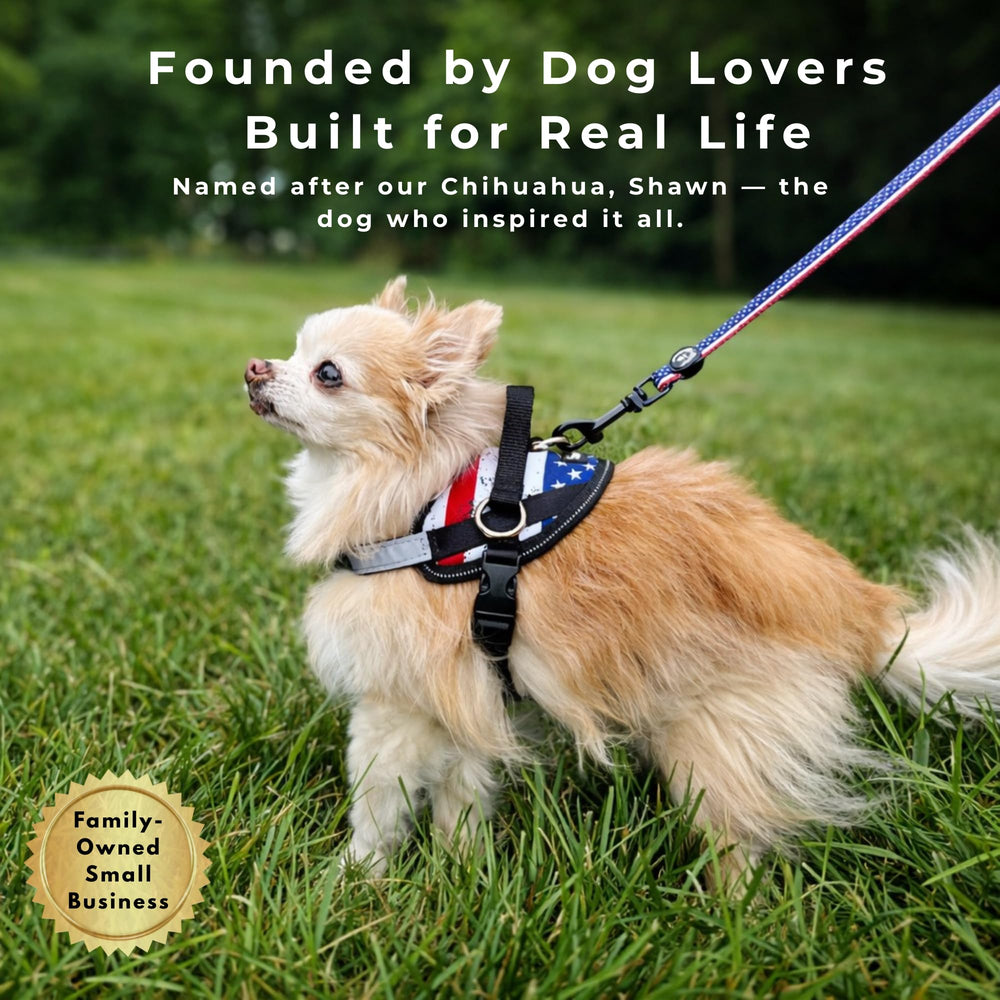 ShawnCo Essential arnés XL para perros grandes, cómodo y seguro