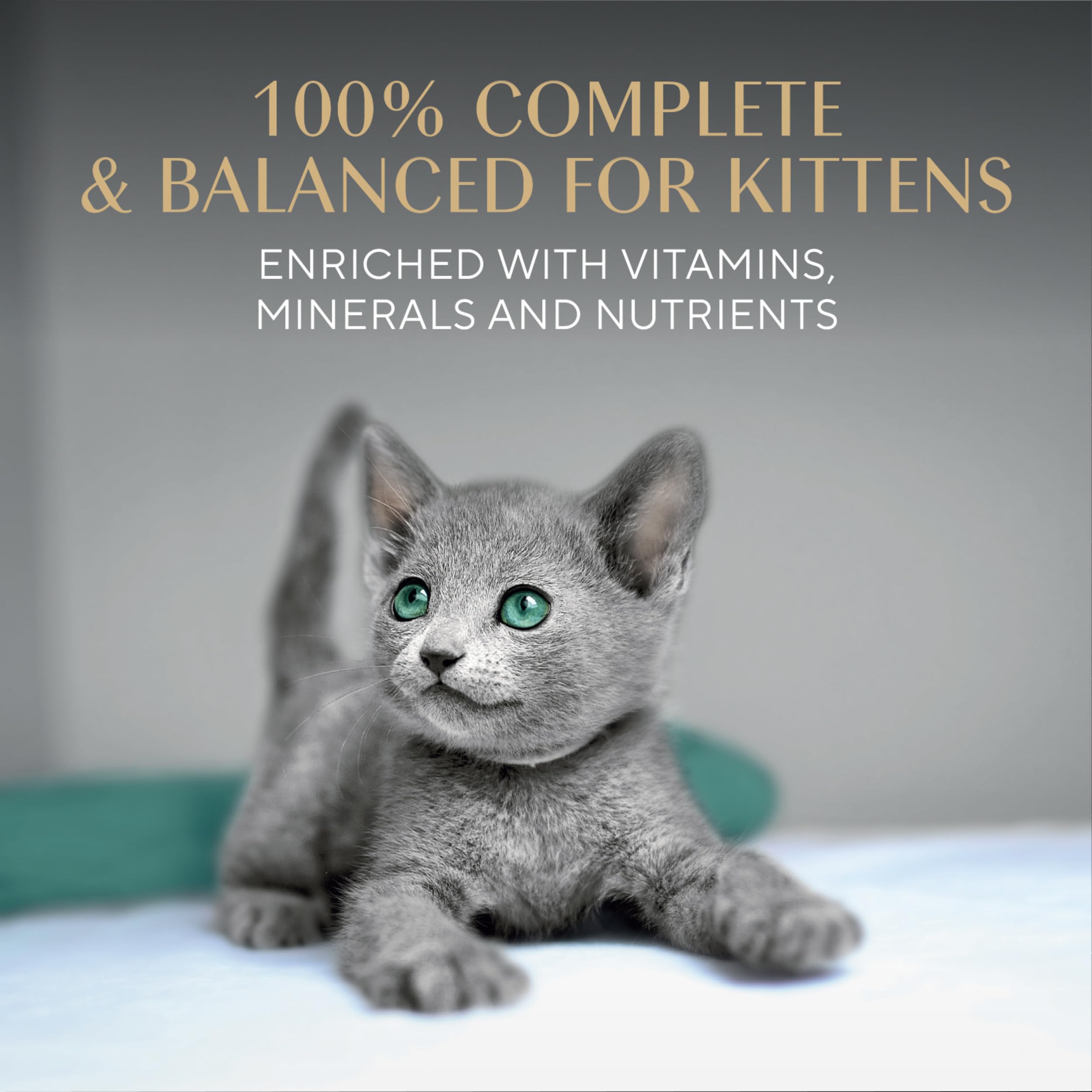 DHA para desarrollo cerebral en gatitos
