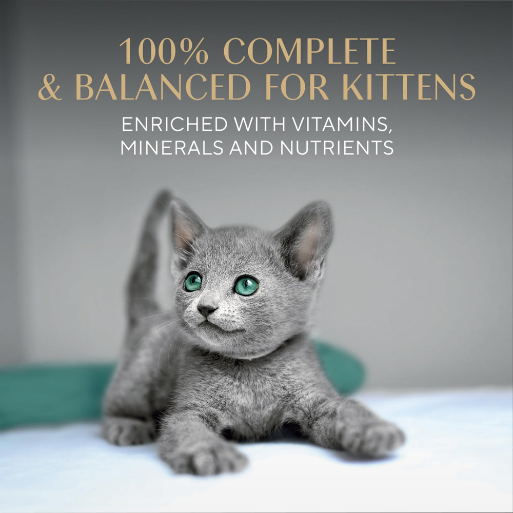 DHA para desarrollo cerebral en gatitos