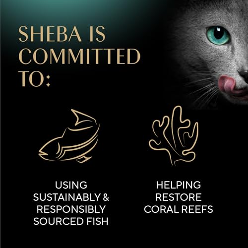 Pack doble de Sheba para una rutina de alimentación fácil