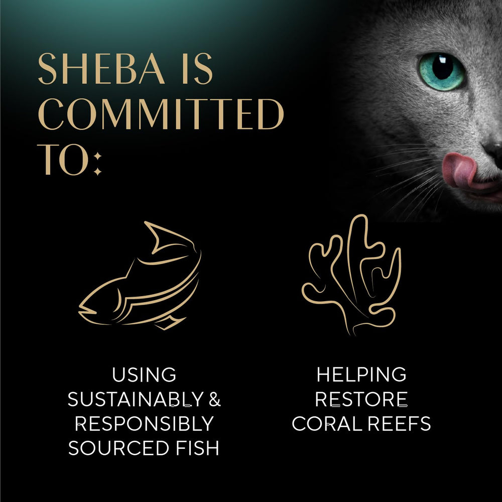 Sheba Perfect Portions: Sin sabores ni conservantes artificiales para una cena más natural
