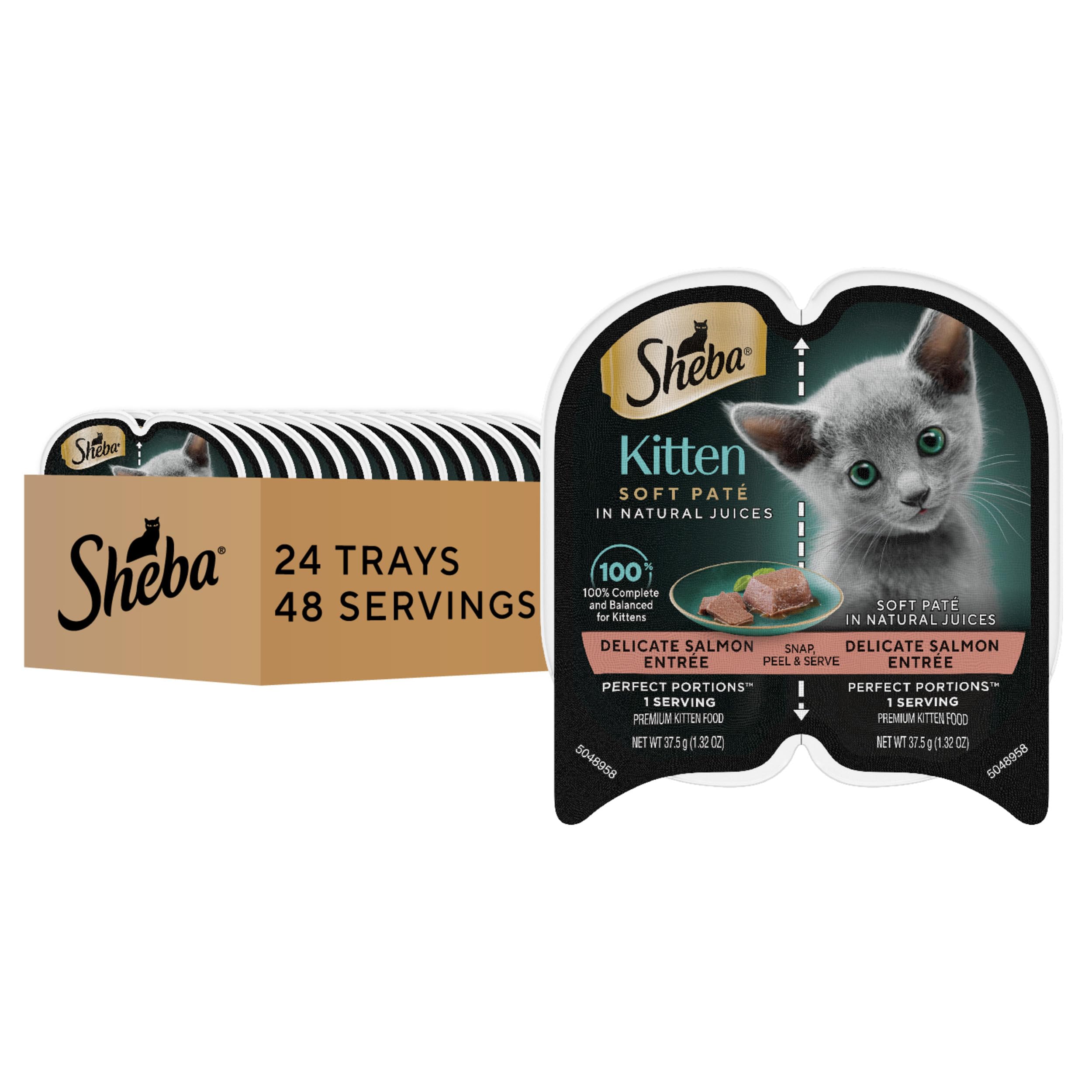 Gatito disfruta porciones perfectas de salmón de Sheba en bandeja
