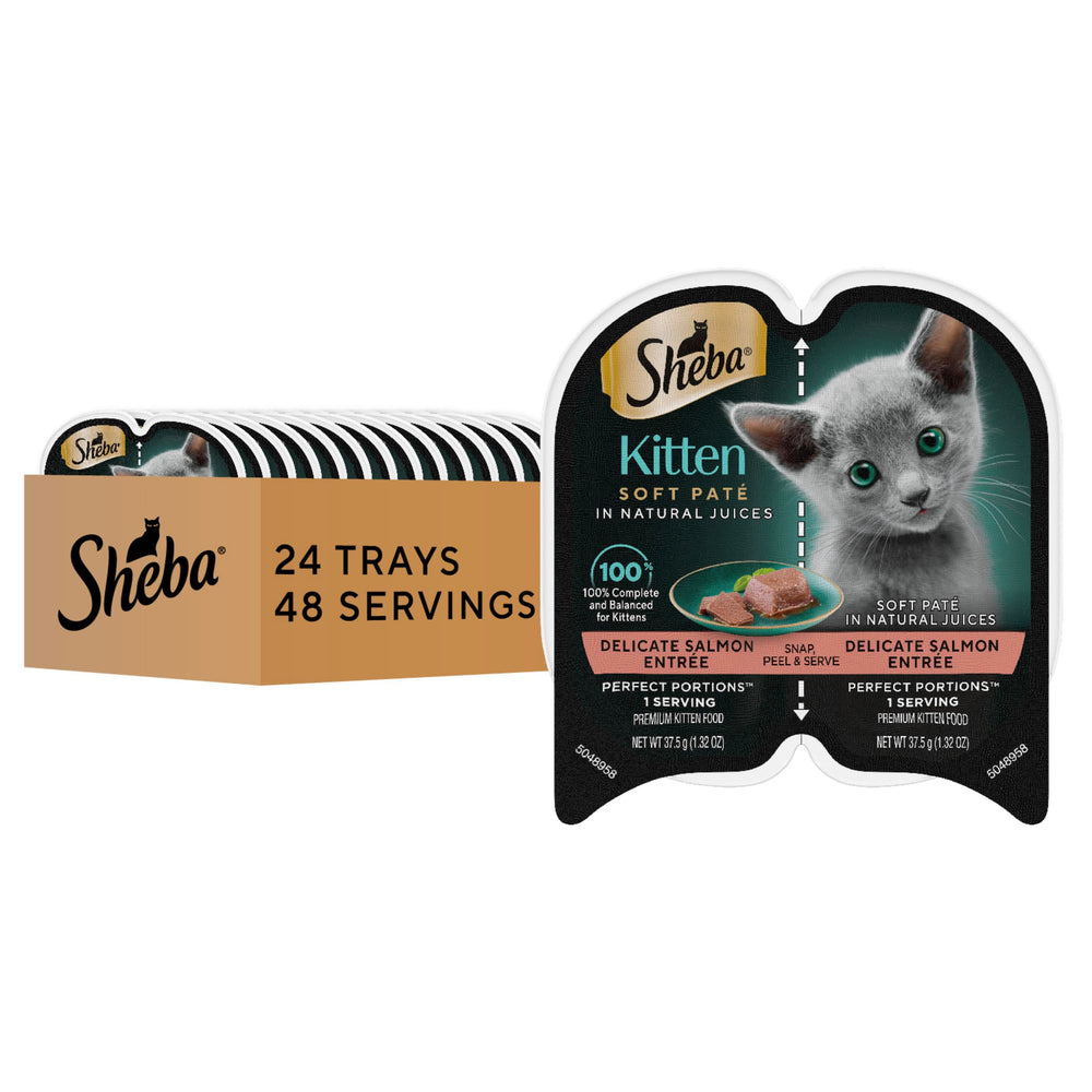 Gatito disfruta porciones perfectas de salmón de Sheba en bandeja