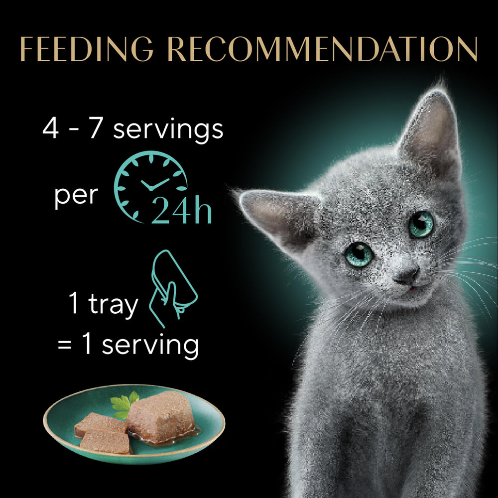 Fórmula sin granos, maíz ni soya para gatitos