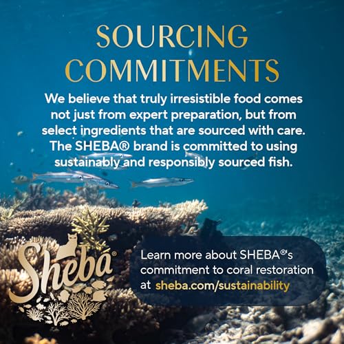 Sheba mezcla ingredientes: opción sabrosa para la alimentación diaria.