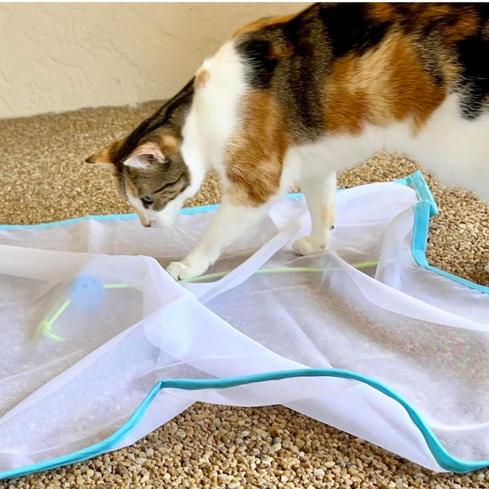 Sheer Fun For Cats es un diseño estadounidense hecho en USA para mayor calidad