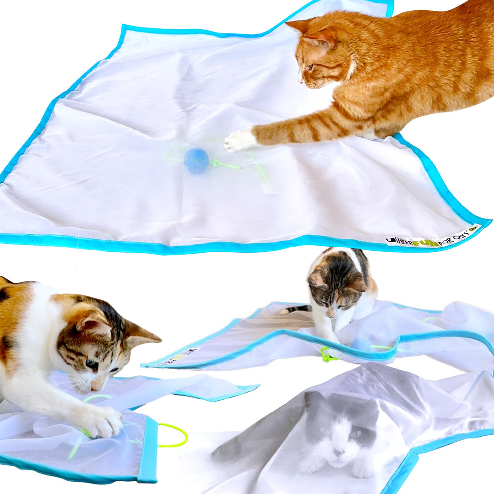 Sheer Fun For Cats: tejido transparente para esconderse y cazar en casa