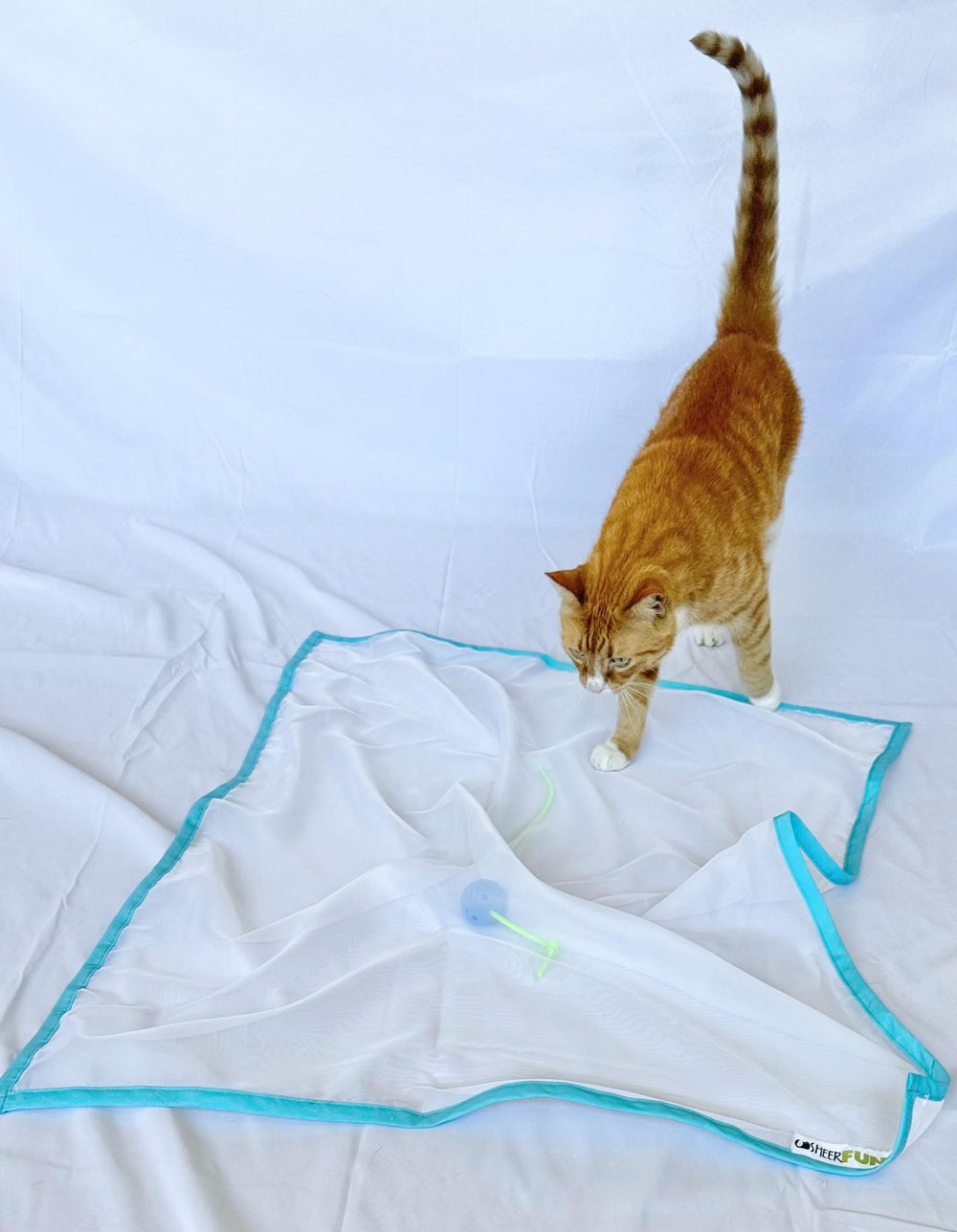 Sheer Fun For Cats facilita juego versátil en casa para gatos curiosos