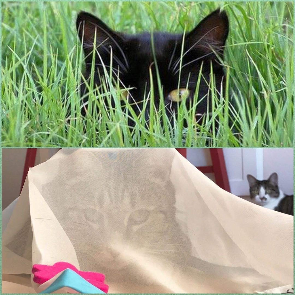 Sheer Fun For Cats incluye ventosas para fijar bajo muebles