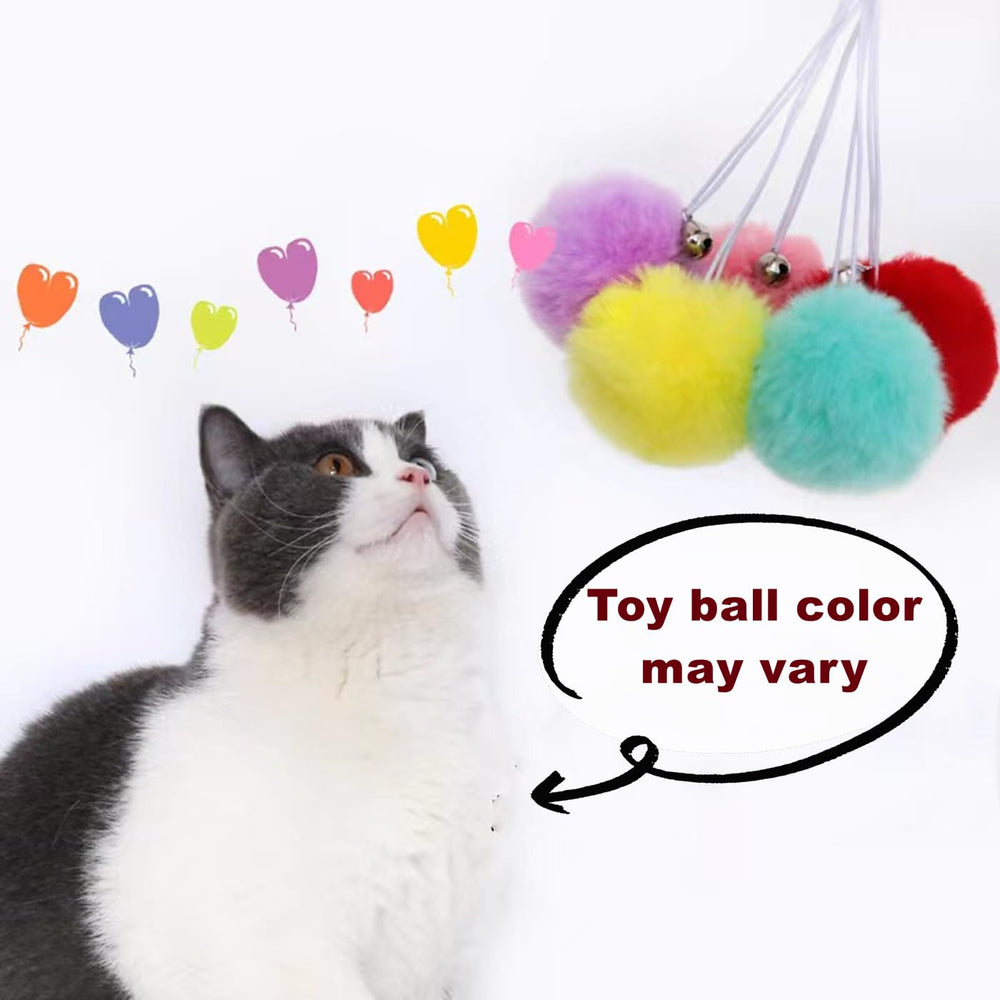 SHENGOCASE durable metal frame supports cats up to 20 pounds securely.