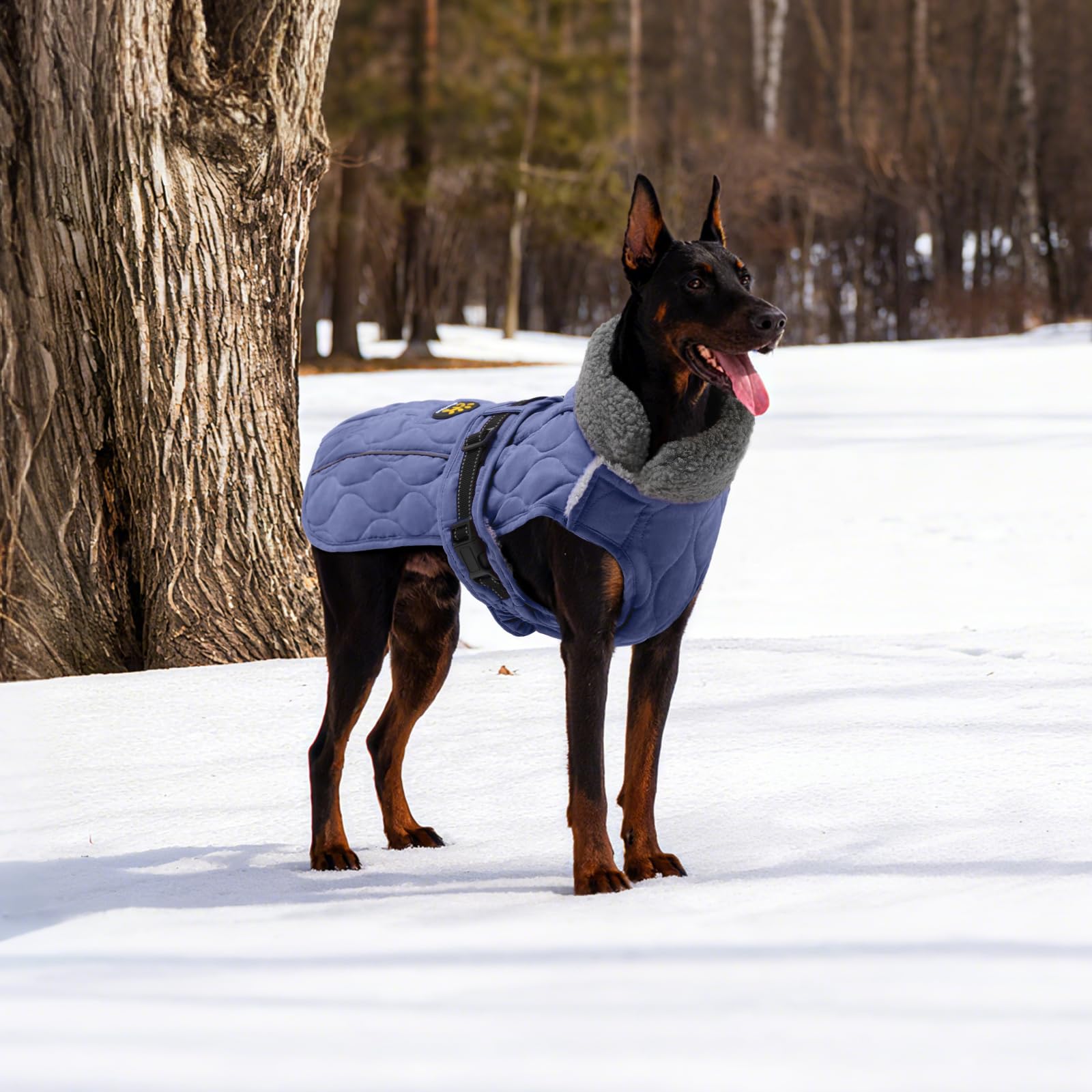 Sheripet chaqueta invierno perro orificio arnes: enganchar correa sin quitar la chaqueta