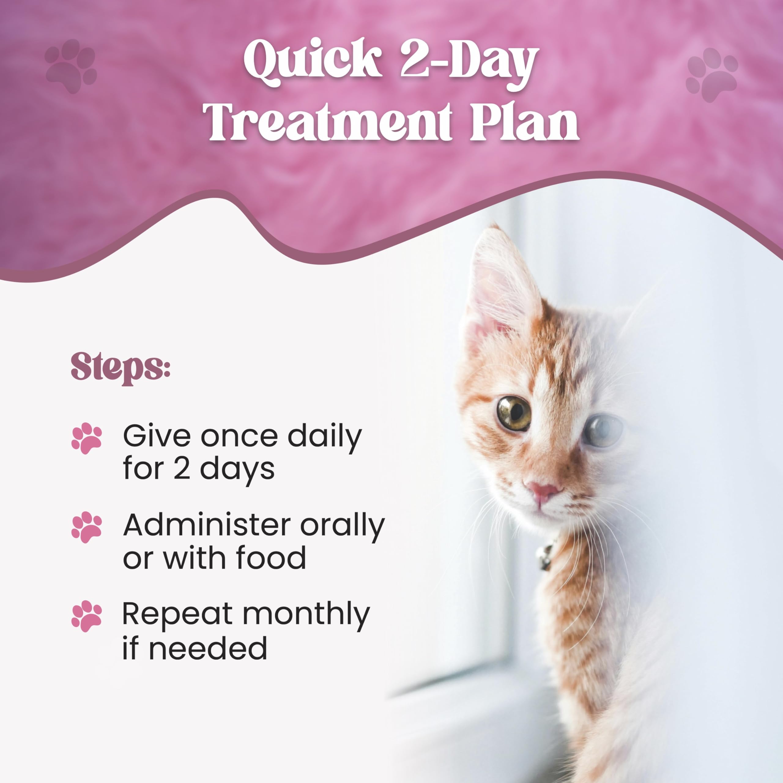 Dewormer SHEVAT VITAMINS apto para gatitos desde 2 semanas de edad.