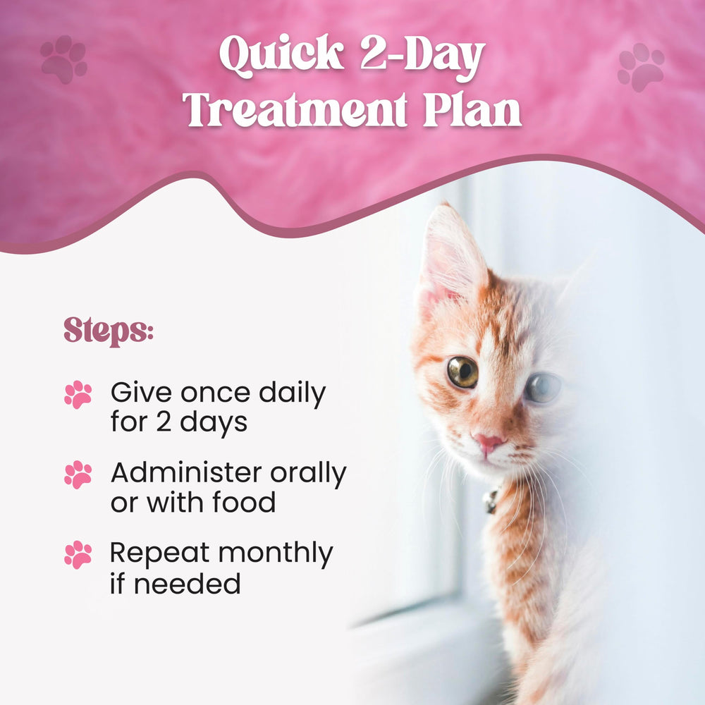 Dewormer SHEVAT VITAMINS apto para gatitos desde 2 semanas de edad.