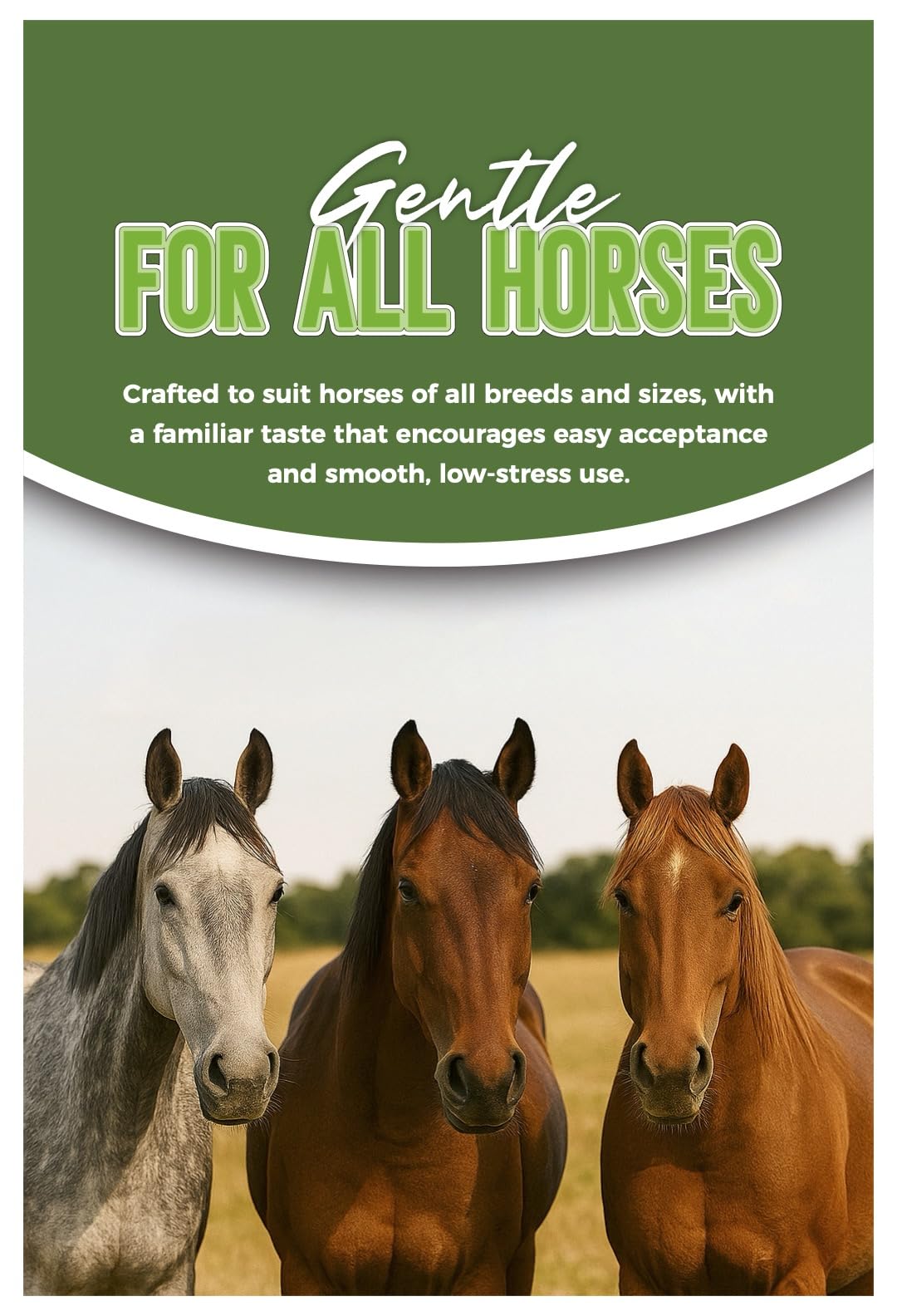 Dosificación ajustable con Shevat Vitamins para caballos.