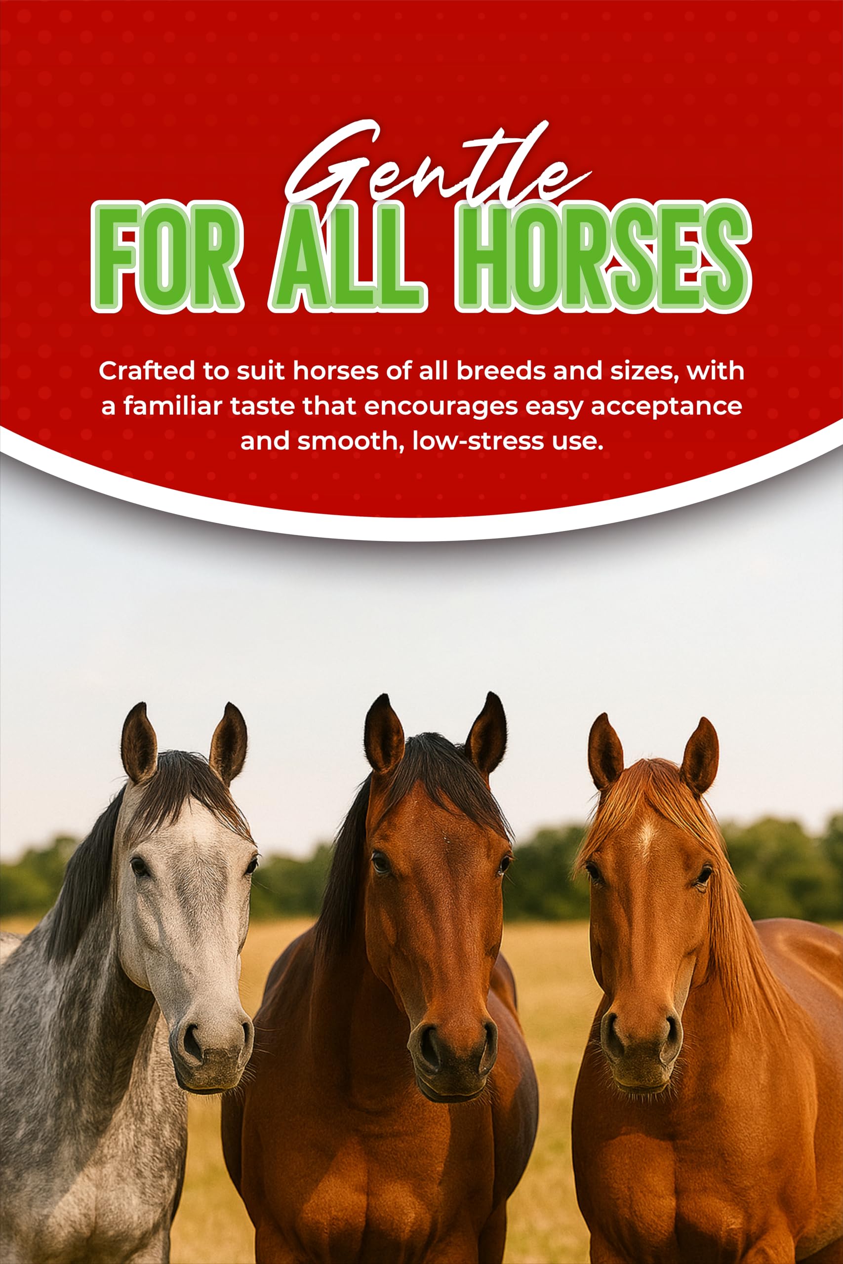SHEVAT VITAMINS Ivermectina pasta: aplicación en la lengua del caballo.