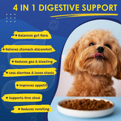 SHINEPAWS Probiotics, enzimas digestivas para mejor absorción de nutrientes