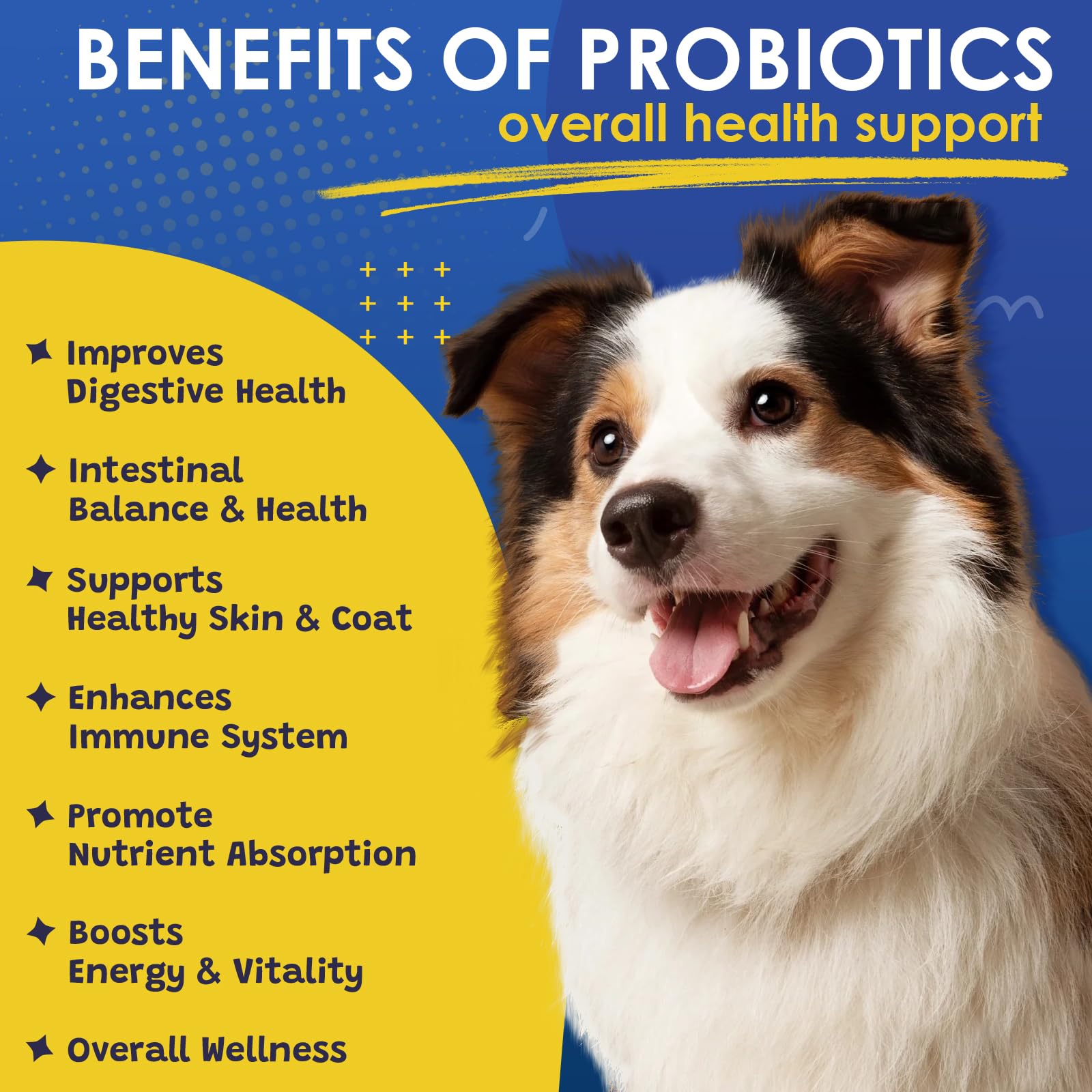 SHINEPAWS Probiotics con prebioticos y fibras para microbiota saludable