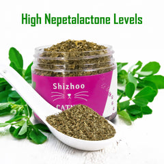 Aroma aromático de Shizhoo Catnip para despertar interés.