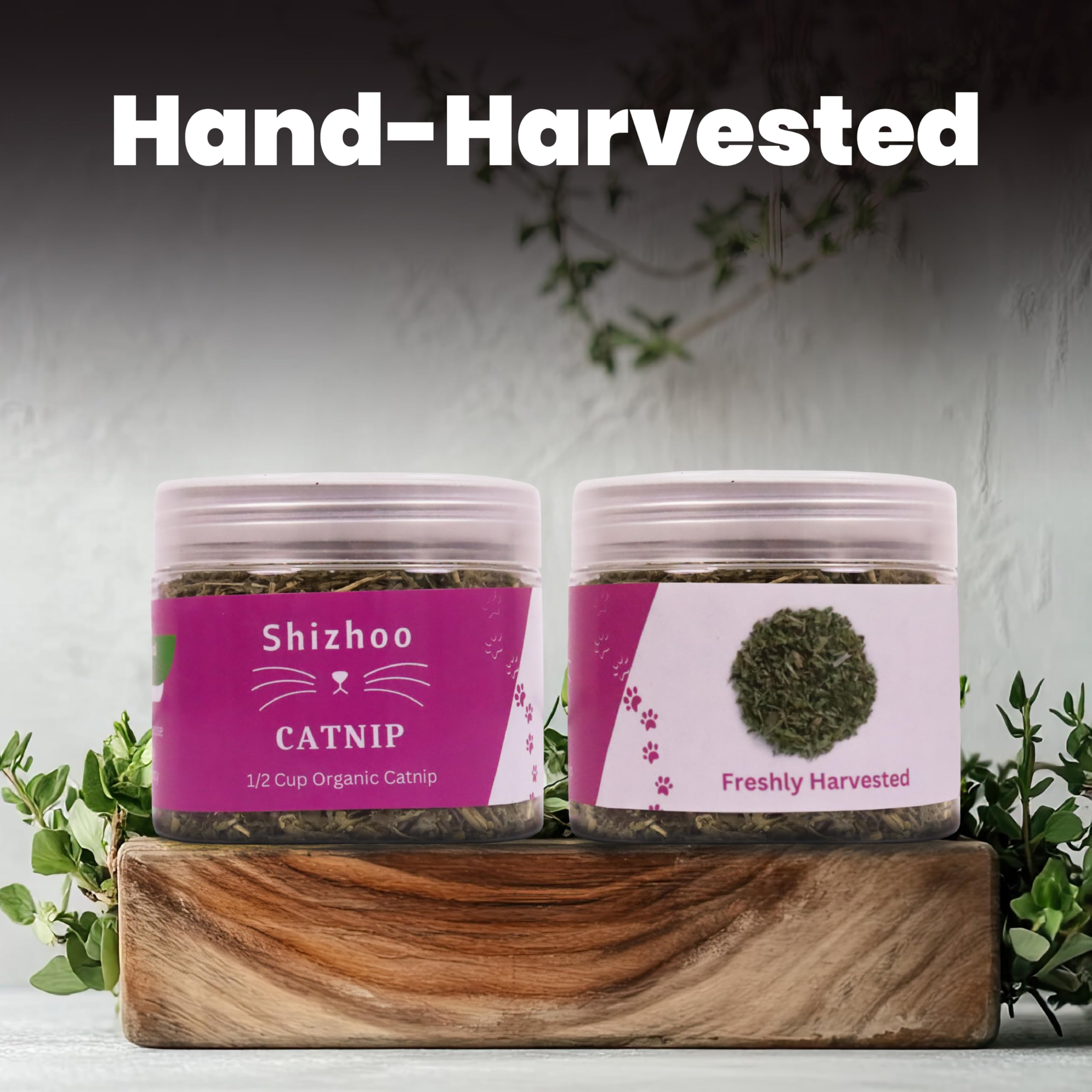 Bote reutilizable de Shizhoo Catnip, envase práctico para recargas.