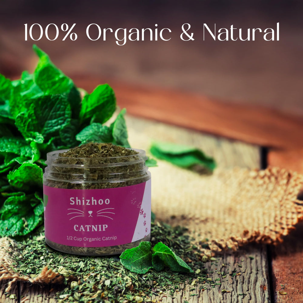 Juguete rellenable con Shizhoo Catnip para diversión continua.