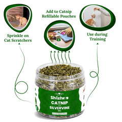 Shizhoo gato oliendo la mezcla para activar curiosidad y juego