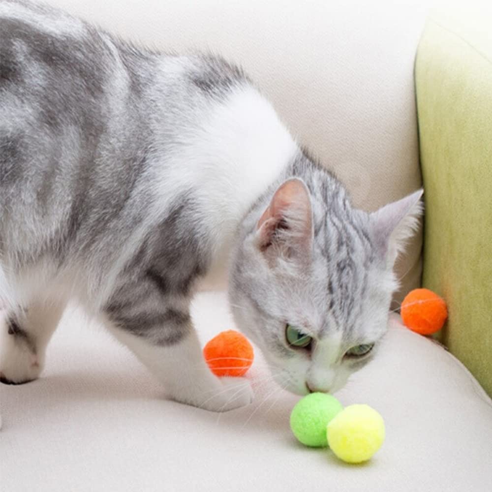 Bolas pom pom para entrenamiento y socialización de gatitos.