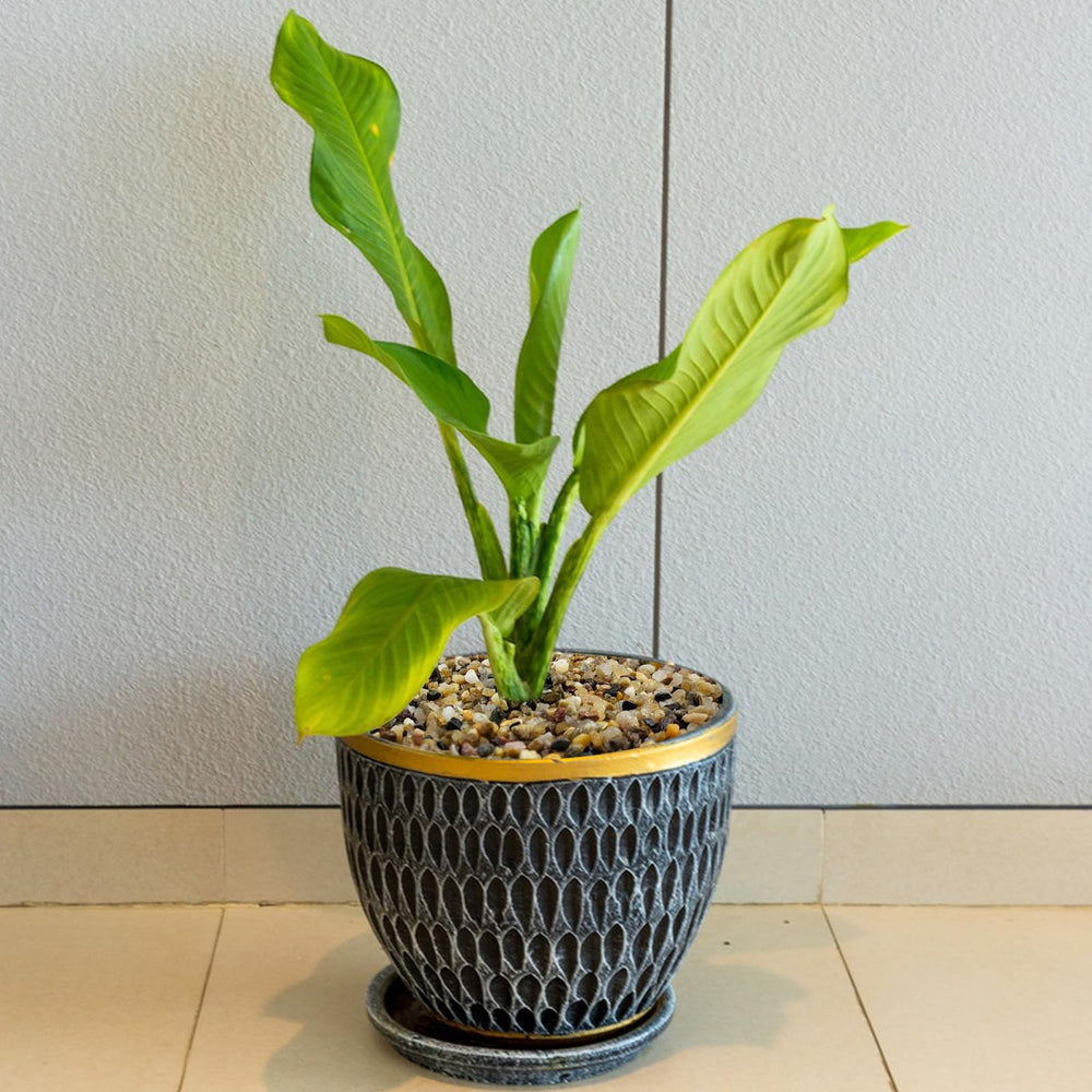 SHIZWU relleno para terrazas y jardinería, aporta color sin recargar
