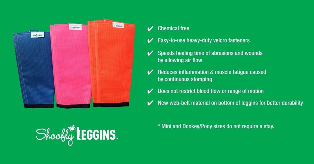 SHOOFLY Leggins diseño ligero de malla para libertad de movimiento