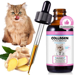 Shuangjia Colágeno para Gatos, frasco de gotas fácil de usar para dosis diarias