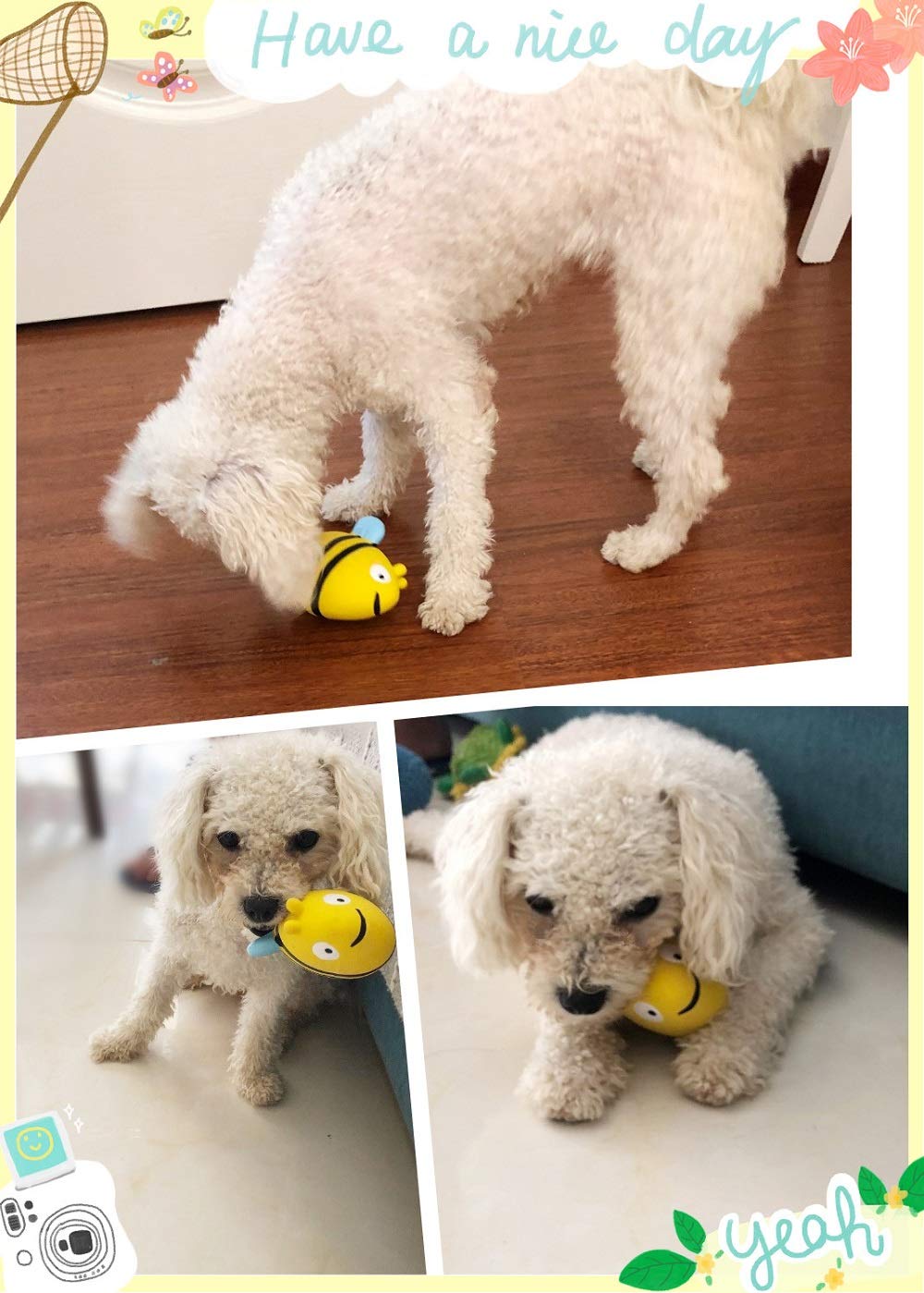 CloverU interactivo-sonoro, fomenta juego y vínculo con tu mascota