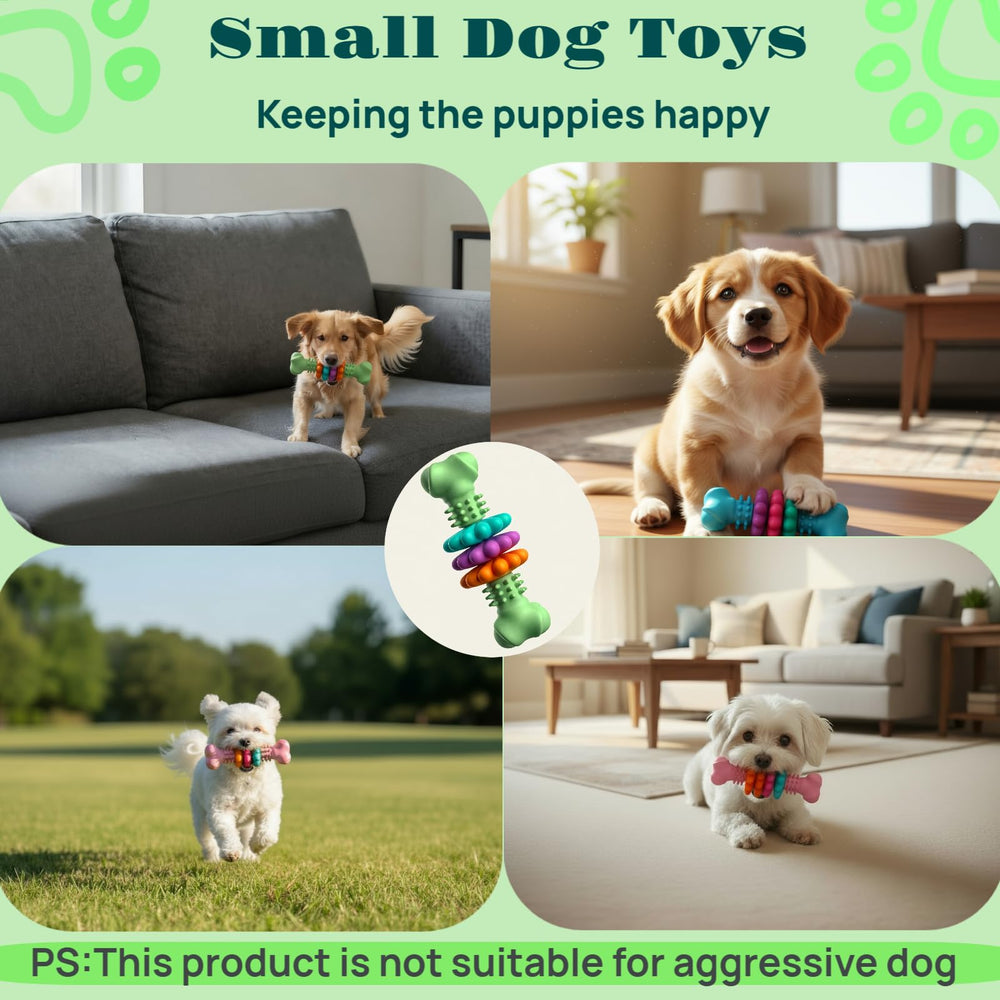 Sidaeren hueso dentición para perros pequeños, resistente y perfecto para canalizar energía.